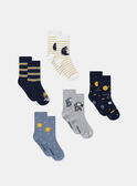 Navy SOCKS SETx5 NLOCOSMAGE / 25H4PGW1LC5070