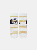 Navy SOCKS SETx5 NLOCOSMAGE / 25H4PGW1LC5070