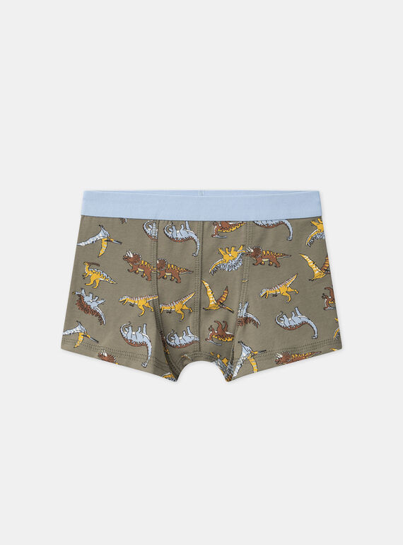 Light Kaki BOXER MLIMAINAGE / 25E5PG41BOX626