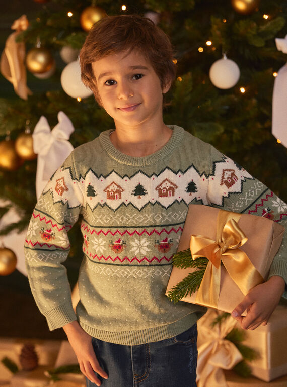 Green PULLOVER NEDULAGE / 25H3PG61PULG610