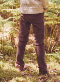 Brown PANTS NLEDUAGE / 25H3PGT1PAN816