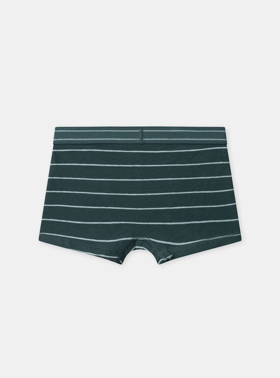 Green BOXER NUIBOXAGE / 25H5PGC1BOX608