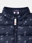 Navy DOWN JACKET NAIMANI / 25H1BGP1D3E070