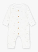 Heather beige SET KOENE / 24E0CM21ENSA011