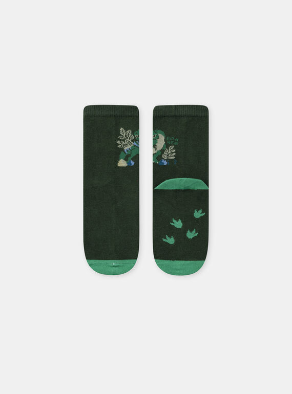 Green SOCKS NICHOSAGE / 25H4PGS1SOQG633
