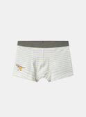 Light Kaki BOXER MLIMAINAGE / 25E5PG41BOX626