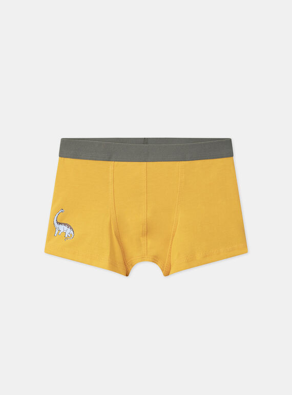 Light Kaki BOXER MLIMAINAGE / 25E5PG41BOX626