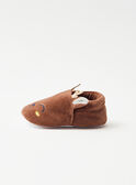 Brown SLIPPERS_NEW NECLOVIS / 25F10BG51SLS815