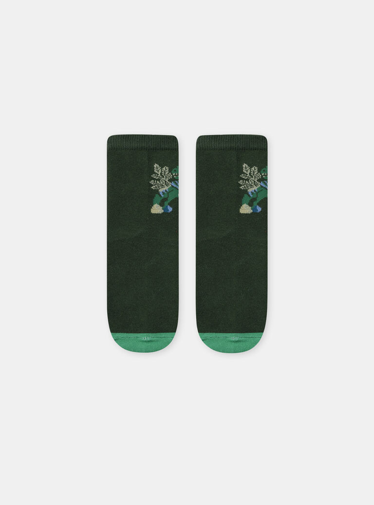 Green SOCKS NICHOSAGE / 25H4PGS1SOQG633