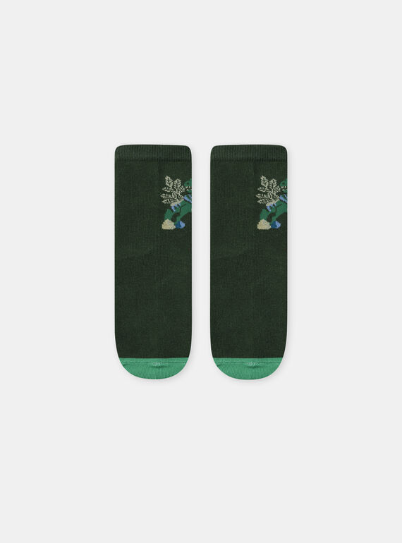 Green SOCKS NICHOSAGE / 25H4PGS1SOQG633