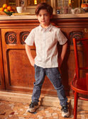 Dinosaur print shirt KLADINAGE / 24E3PGN1CHM701