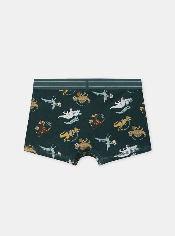 Green BOXER NUIBOXAGE / 25H5PGC1BOX608