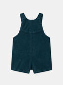 Navy DUNGAREES NAPAULA / 25H1BFX1SAL714