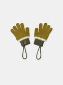 Kaki GLOVES & MITTENS NISGANTAGE / 25H4PGF2GAN604