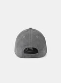 Grey HAT NOCASKAGE / 25H4PGP1CHAJ912