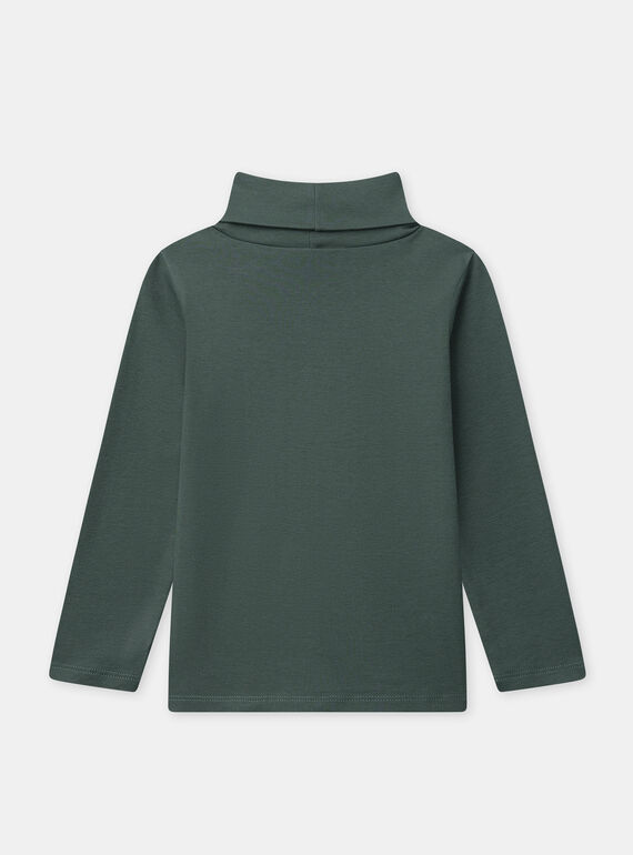 Green TURTLE NECK NRARUAGE / 25H3PGV1SPLG608