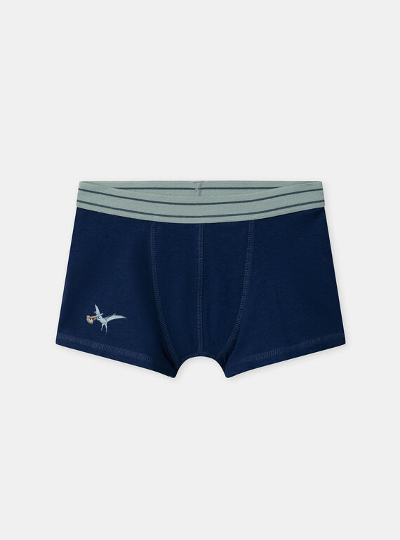 Green BOXER NUIBOXAGE / 25H5PGC1BOX608