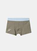 Light Kaki BOXER MLIMAINAGE / 25E5PG41BOX626