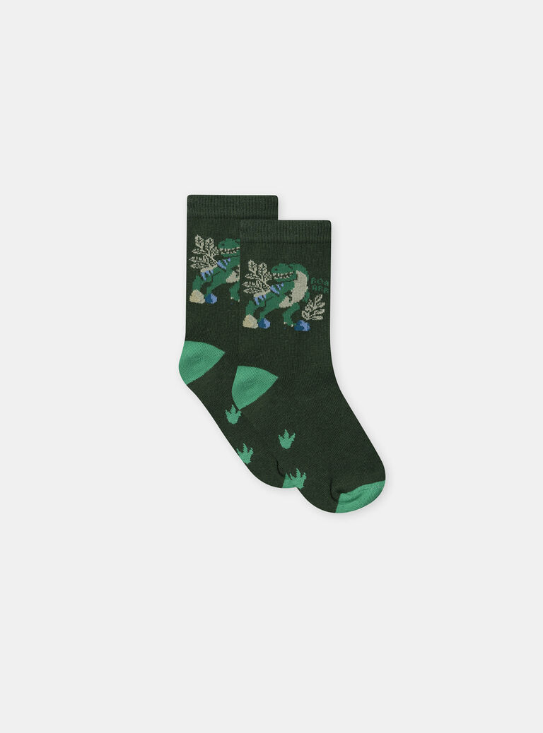 Green SOCKS NICHOSAGE / 25H4PGS1SOQG633
