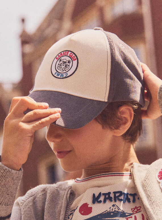 Grey HAT NOCASKAGE / 25H4PGP1CHAJ912