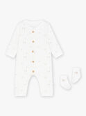 Heather beige SET KOENE / 24E0CM21ENSA011