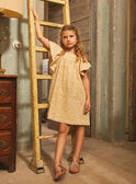 Light beige DRESS KOWAETTE / 24E2PFD3ROB808