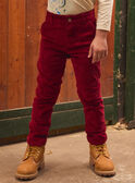 Burgundy PANTS LAROVAGE / 24H3PGR2PAN501