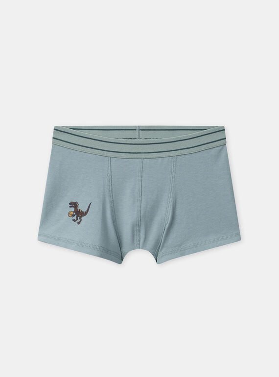 Green BOXER NUIBOXAGE / 25H5PGC1BOX608