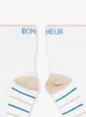 Ecru socks with blue and beige stripes FREBASSAGE / 23E4PGI1SOQ000