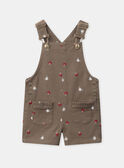 Brown DUNGAREES NAEMILIE / 25H1BFL1SAL821
