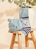 Water green 3D animated ears knit hat FILUCAS / 23E4BG51BON614