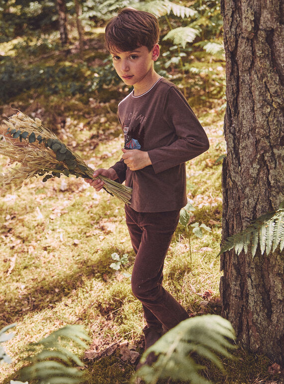 Brown TEE SHIRT LS NLEDINAGE / 25H3PGT1TML816