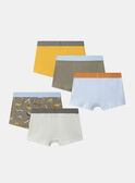 Light Kaki BOXER MLIMAINAGE / 25E5PG41BOX626