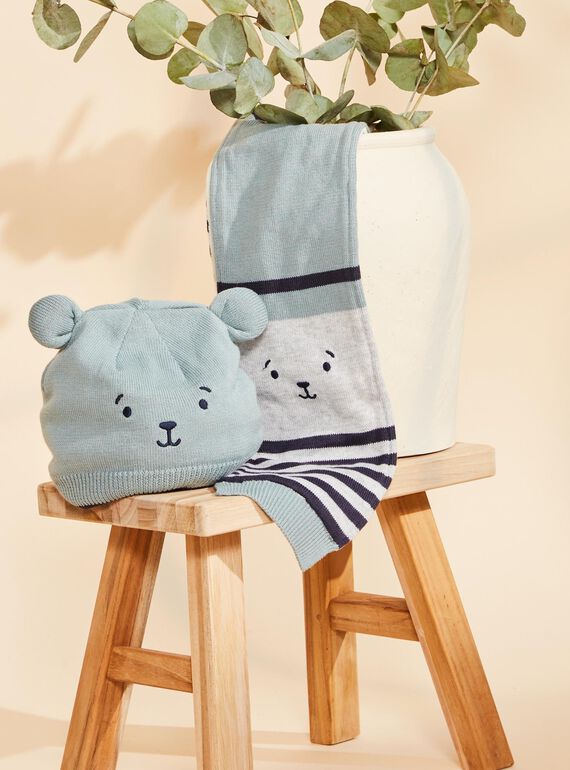 Heather grey scarf with stripes print FILUDO / 23E4BG51ECH614