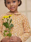 Light orange PYJAMA KUIMIETTE / 24E5PF51PYJ113