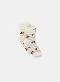 Ivory SOCKS SET NALOLA / 25H4BFT1LCH005
