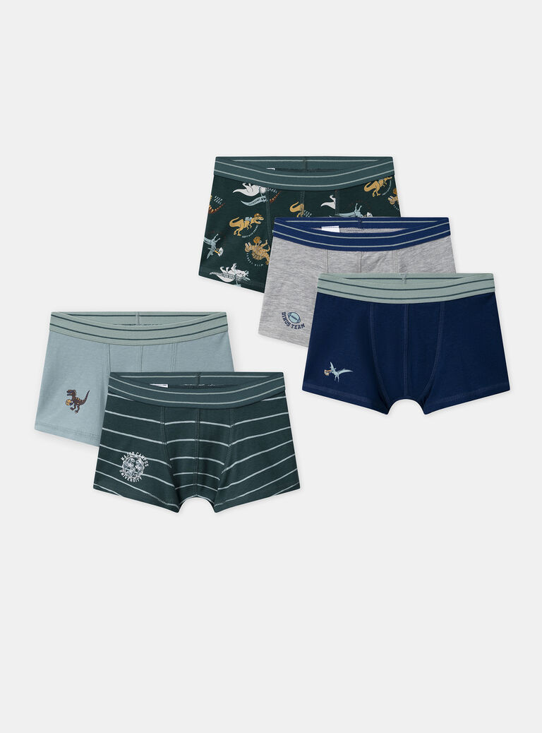 Green BOXER NUIBOXAGE / 25H5PGC1BOX608