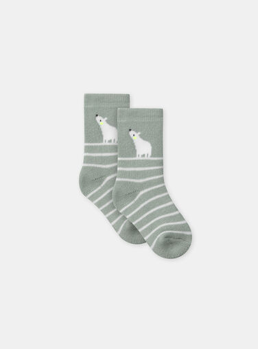 Blue green SOCKS NAURBAIN / 25H4BGV1SOQ614