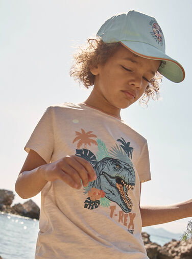 Turquoise twill cap with dinosaur print FLUBEACHAGE / 23E4PGQ1CHA205