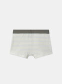 Light Kaki BOXER MLIMAINAGE / 25E5PG41BOX626