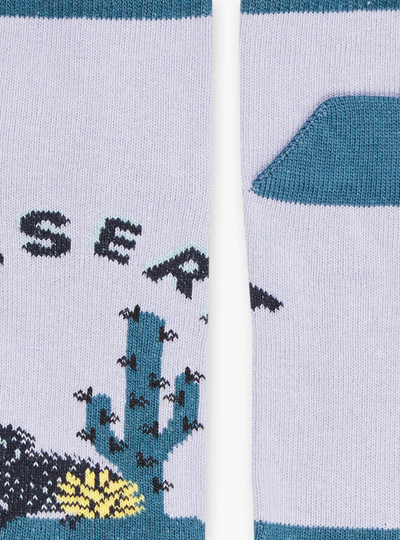 Low socks lilac and blue duck with desert jacquard pattern FLANAGE / 23E4PGO1SOBH700