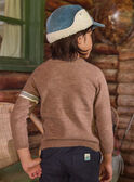 Brown PULLOVER LALOGAGE / 24H3PGS1PUL821