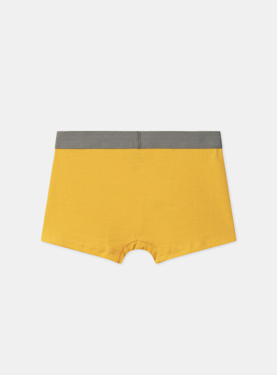 Light Kaki BOXER MLIMAINAGE / 25E5PG41BOX626