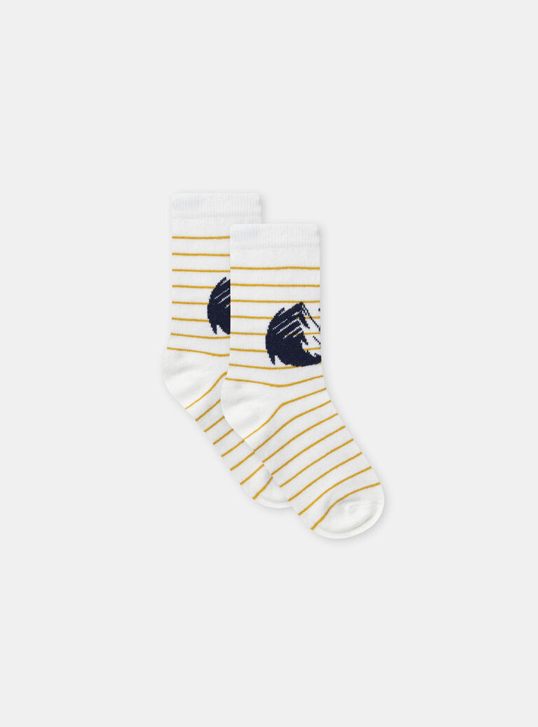 Navy SOCKS SETx5 NLOCOSMAGE / 25H4PGW1LC5070