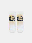 Navy SOCKS SETx5 NLOCOSMAGE / 25H4PGW1LC5070