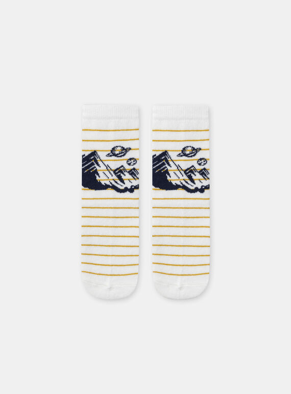 Navy SOCKS SETx5 NLOCOSMAGE / 25H4PGW1LC5070