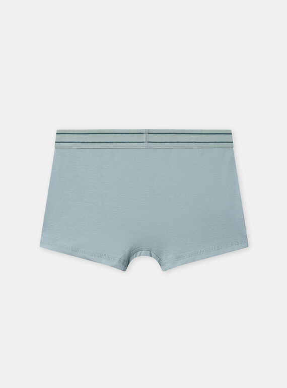 Green BOXER NUIBOXAGE / 25H5PGC1BOX608